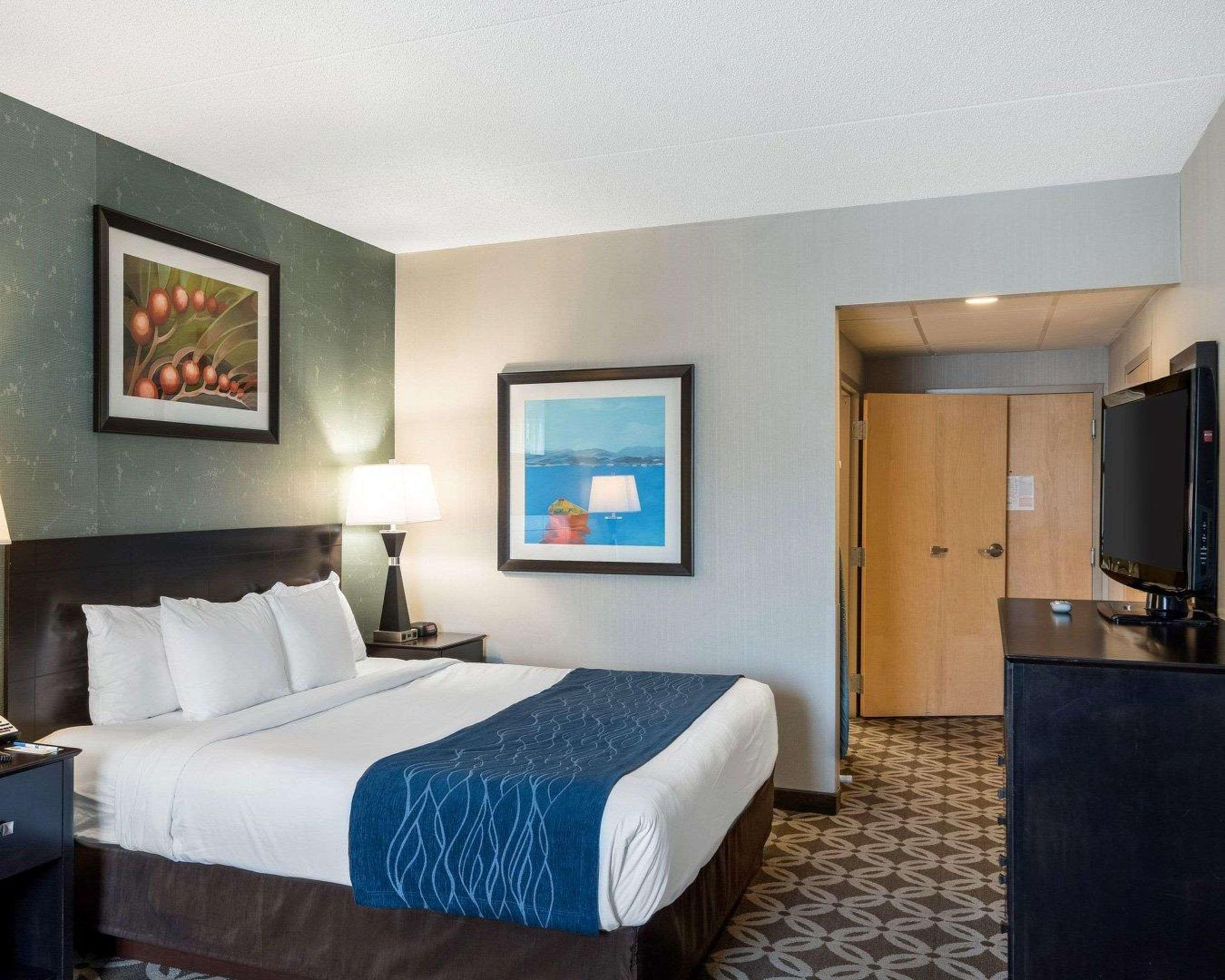 Comfort Inn רהובות' ביץ' מראה חיצוני תמונה