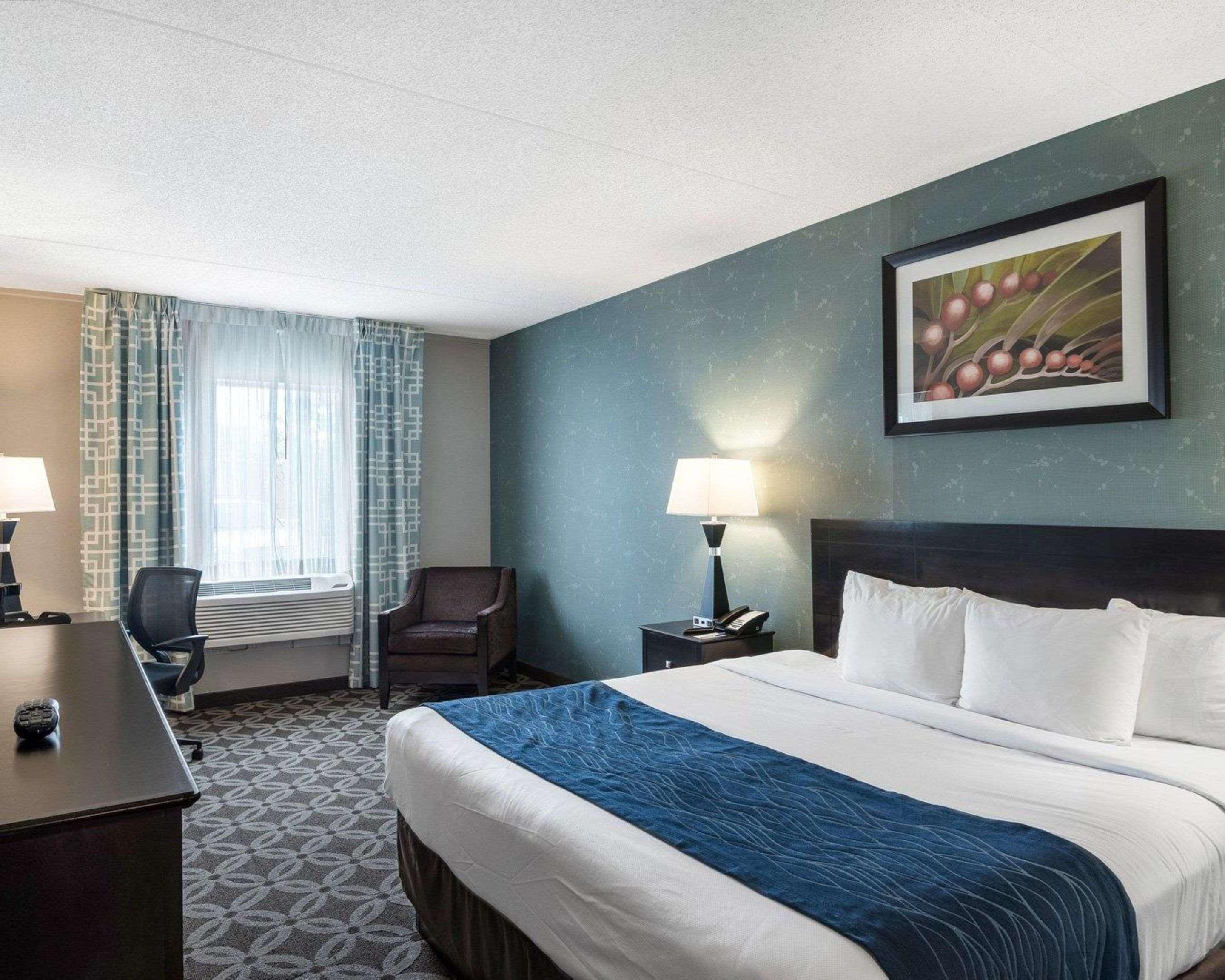 Comfort Inn רהובות' ביץ' מראה חיצוני תמונה