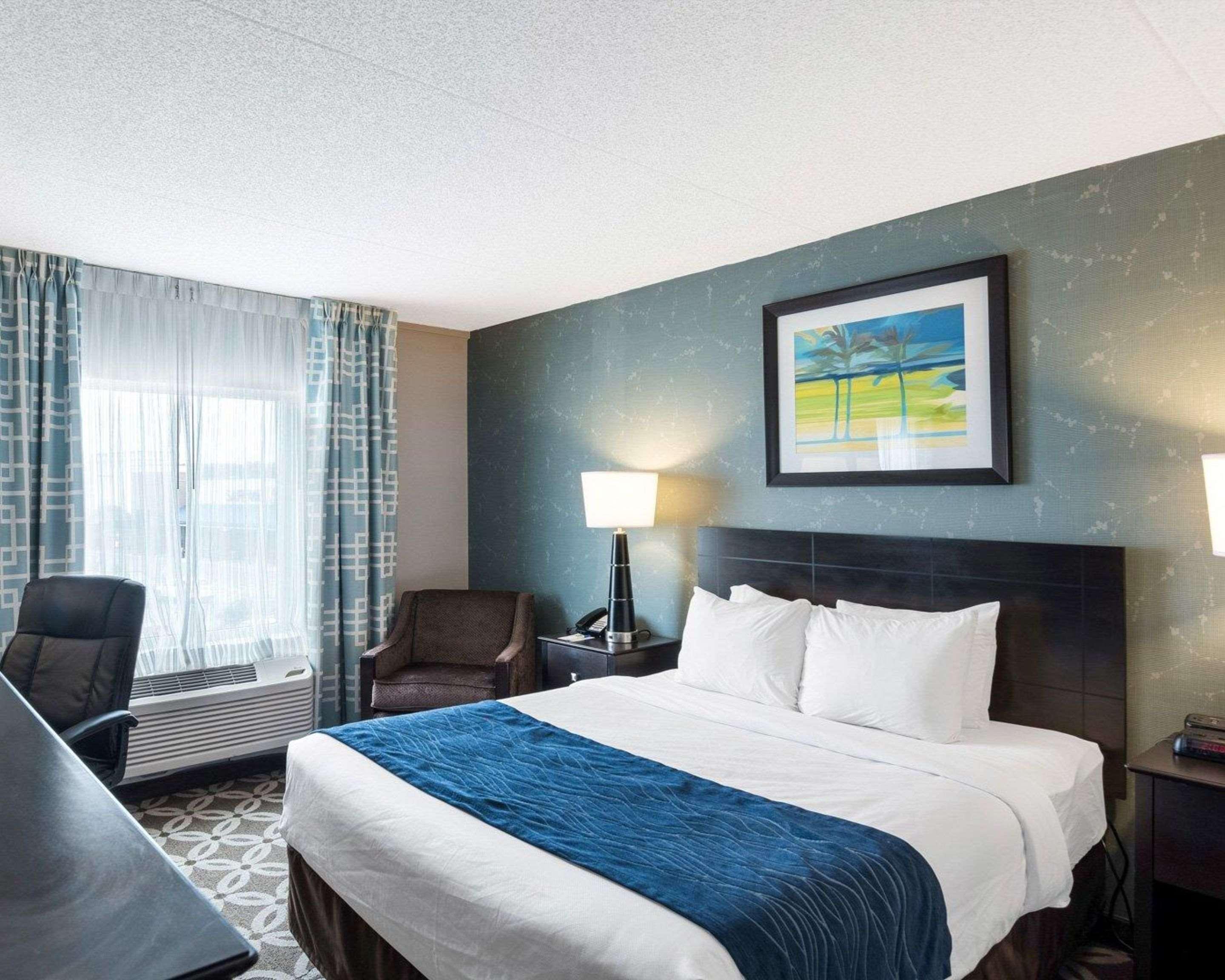 Comfort Inn רהובות' ביץ' מראה חיצוני תמונה