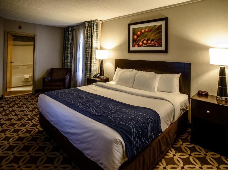 Comfort Inn רהובות' ביץ' מראה חיצוני תמונה
